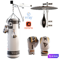 Set Punching bag and gloves from ROX_2