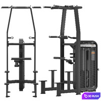 DHZ Fitness E-7009 Dip Chin Assist