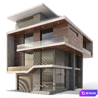Modern House 4