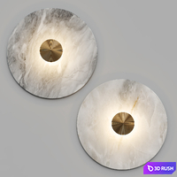 LEIA WALL 3D Model Vray, Corona