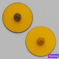 LEIA WALL 3D Model Vray, Corona