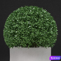 LineaLight Flower IN / Flower OUT 3D Model Vray