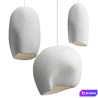 Shaped Pendant light 3D Model Vray