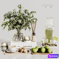 Decorative set 82 3D Model Vray, Corona