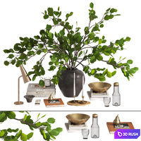 Branches bouquet decorative set 3D Model Corona