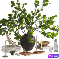 Branches bouquet decorative set 3D Model Corona