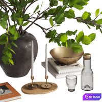 Branches bouquet decorative set 3D Model Corona