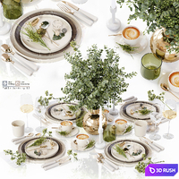 Table Setting 12