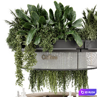 Coffee Reception Desk With Plants - Restaurant Set 1815 3D Model Corona