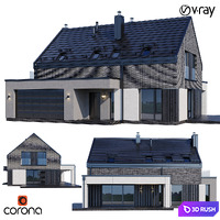 Modern house v71