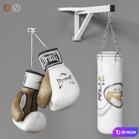 Sports boxing set