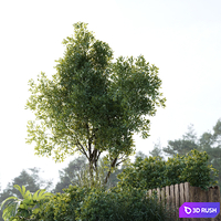 thumb image