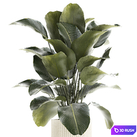 thumb image