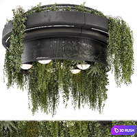 Indoor Hanging Plants in Metal Box - Set 1506