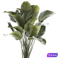 thumb image