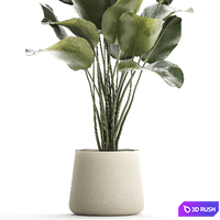 thumb image