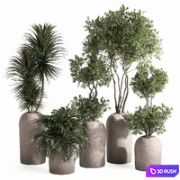 Indoor plant set