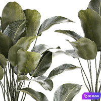 thumb image