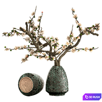 Indoor Plant Set 28