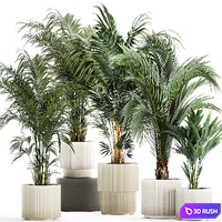 Plant collection 1408