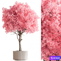 Indoor Plant 657 - Pink Tree