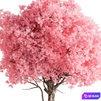 thumb image