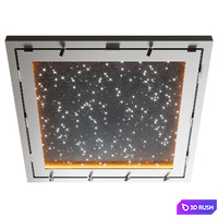 Ceiling No. 5
