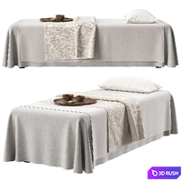 Spa Massage Table