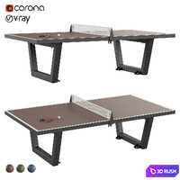 Table Tennis Ping Pong