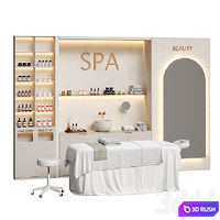 Spa with massage table and accessories P01