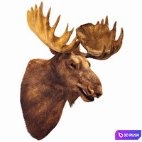Elk head
