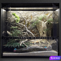 Terrarium
