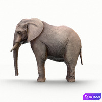 thumb image