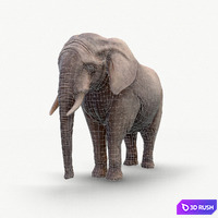 thumb image