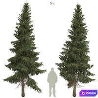 thumb image