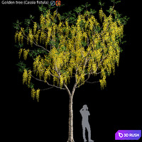 Golden tree (Cassia fistula) # 3
