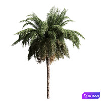 thumb image