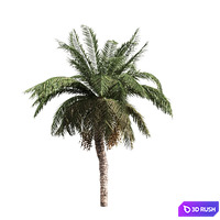 thumb image