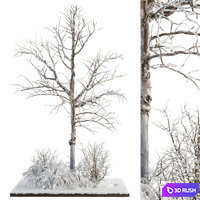 Outdoor Plants tree in Garden Snow - Set 191