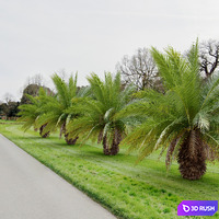 thumb image