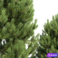 thumb image