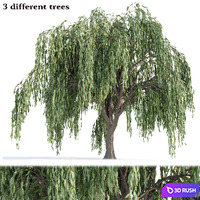 Weeping willow trees collection vol 115
