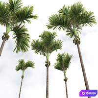 thumb image