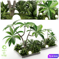Outdoor Plant Vol1 04