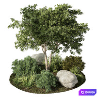 Outdoor Garden Plants Set.41