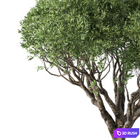 thumb image