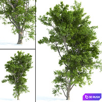 thumb image