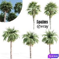 Palm tree- vray
