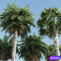 thumb image