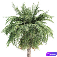thumb image